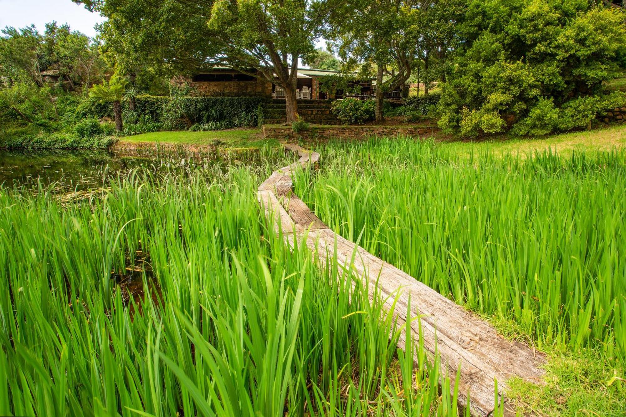 Paardeplaats Nature Retreat Rhenosterhoek Ngoại thất bức ảnh